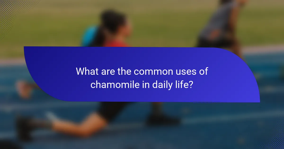 What are the common uses of chamomile in daily life?