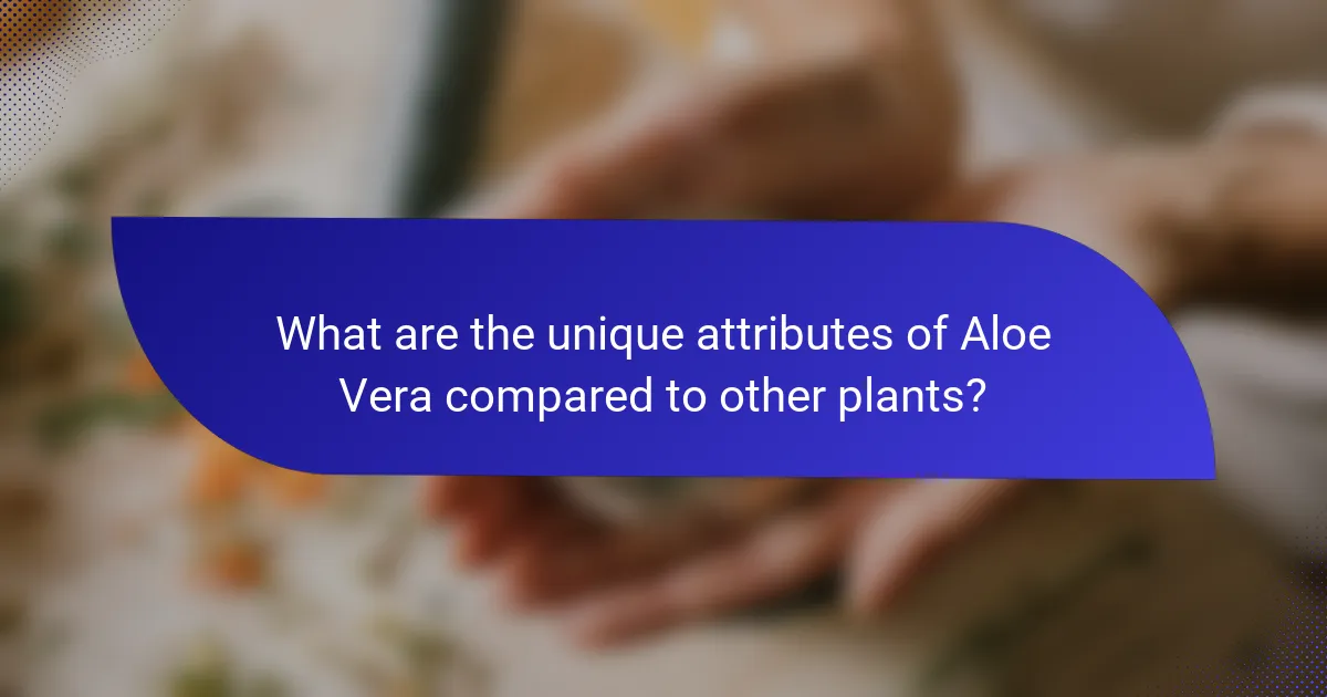 What are the unique attributes of Aloe Vera compared to other plants?