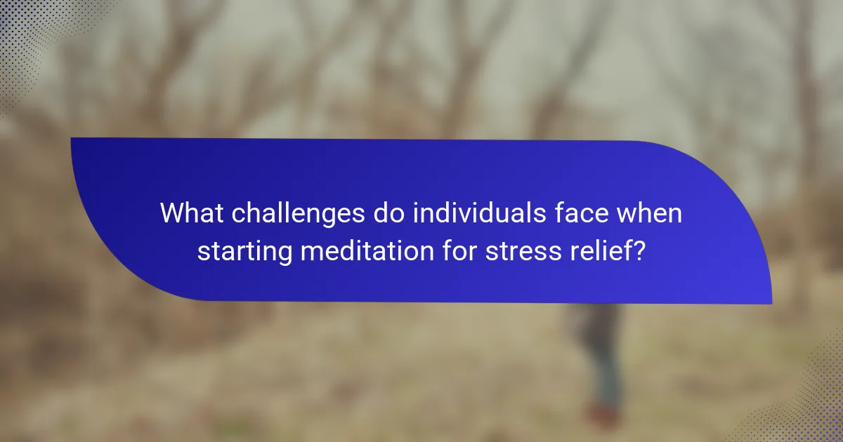 What challenges do individuals face when starting meditation for stress relief?