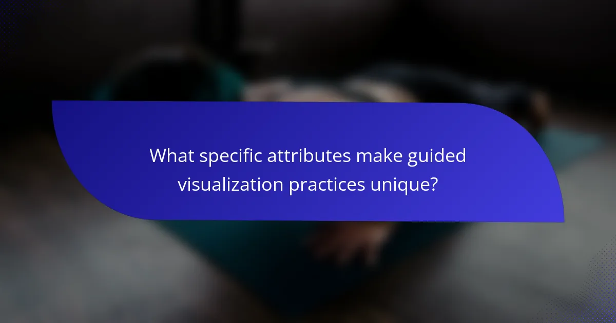 What specific attributes make guided visualization practices unique?
